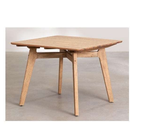 Eucalyptus - H01006