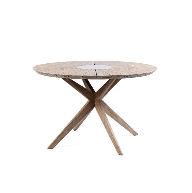 Eucalyptus - H01027