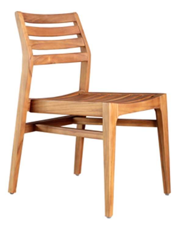 White Echinacea Chair
